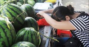 没有力气的吃瓜视频,揭秘网络热点的轻松态度