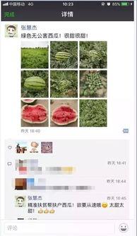 微信朋友圈发吃瓜视频,揭秘娱乐圈最新热点事件