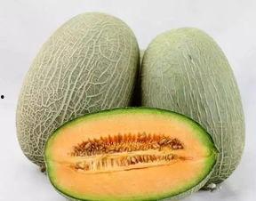 吃货脆皮哈密瓜视频在线观看,跟随吃货达人解锁美味秘诀