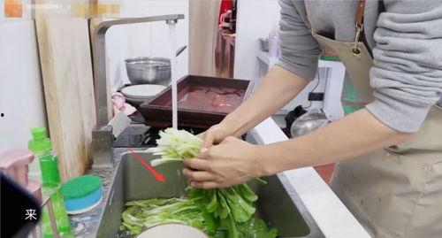 化妆吃瓜洗菜视频,化妆吃瓜洗菜，轻松变身厨房小能手