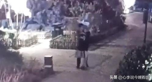 吃海绵瓜视频完整版,吃海绵瓜视频完整版深度解析