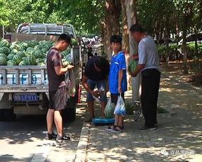 平塘吃瓜群众事件视频,一场网络舆论的风暴与反思