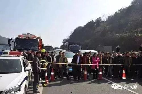 平塘吃瓜群众事件视频,一场网络舆论的风暴与反思