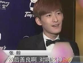 吃瓜群众赵小刀视频在线观看,揭秘娱乐圈幕后故事