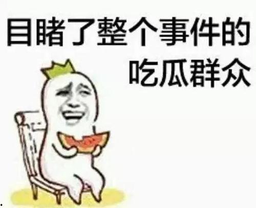 吃瓜群众赵小刀视频在线观看,揭秘娱乐圈幕后故事