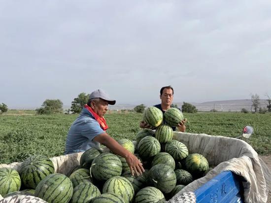 四个地点吃瓜视频大全,吃瓜视频大全大揭秘