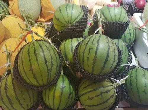 四个地点吃瓜视频大全,吃瓜视频大全大揭秘