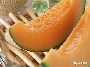 吃新疆哈密瓜的视频,甜蜜滋味，视觉盛宴