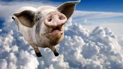 罗牛山吃瓜视频,揭秘网红美食背后的真相