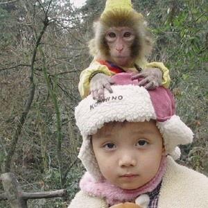 罗牛山吃瓜视频,揭秘网红美食背后的真相