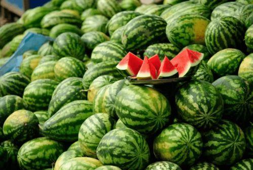 情人节现场吃瓜视频,甜蜜瓜语，见证爱意瞬间