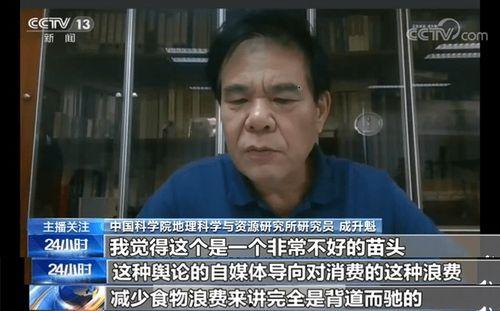 吃瓜摆烂大结局视频大全,揭秘热门视频背后的精彩故事