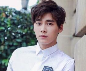 吃瓜李易峰事件真相视频,揭秘真相背后的曲折历程