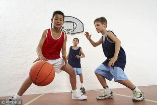 篮球吃瓜现场视频大全,吃瓜群众视角下的经典视频大盘点