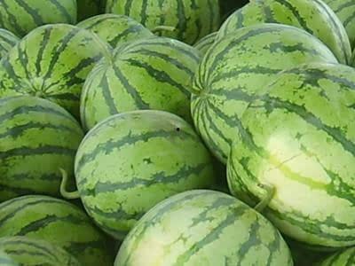 如何阻止吃瓜视频传播呢,有效遏制“吃瓜视频”传播的策略解析