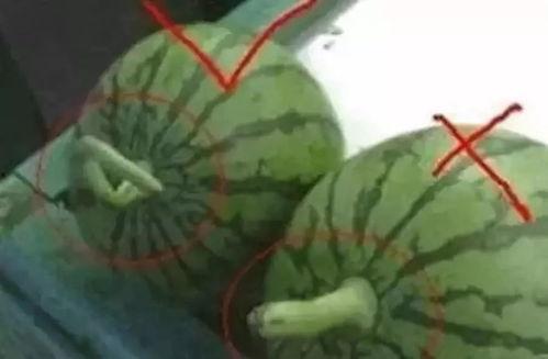 如何阻止吃瓜视频传播呢,有效遏制“吃瓜视频”传播的策略解析