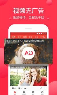 重磅吃瓜视频泄密,揭秘娱乐圈惊天大事件！