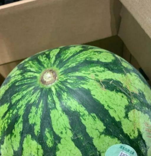 吃假瓜视频,吃假瓜视频引发的食品安全思考