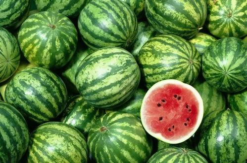 日本人吃黄瓤瓜的视频,黄瓤瓜的奇妙风味体验