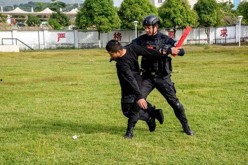 远哥吃猎狐瓜完整视频,趣味盎然吃瓜大作战