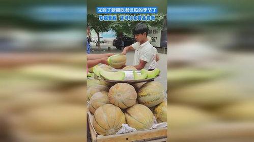 去新疆吃老汉瓜视频播放,舌尖上的瓜果盛宴，视频播放引热议