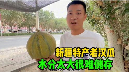 去新疆吃老汉瓜视频播放,舌尖上的瓜果盛宴，视频播放引热议