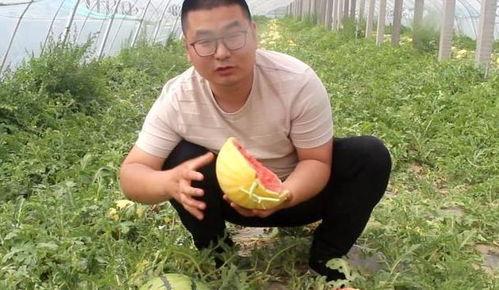 小帅视频吃瓜,揭秘网红吃瓜背后的故事