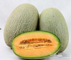 吃哈密瓜钓鱼视频,钓鱼乐趣无限