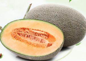 吃哈密瓜钓鱼视频,钓鱼乐趣无限