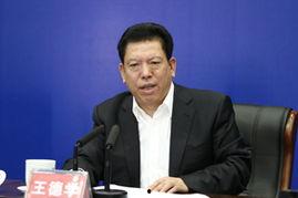 副局长吃瓜视频大全下载,揭秘官场幕后风云