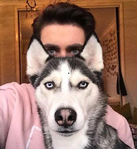 二哈美眉吃瓜视频,萌宠美食大揭秘