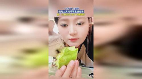 奶咪 吃瓜视频在线观看,带你领略网络娱乐新风尚