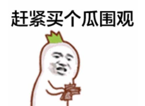 来吧吃瓜群众视频下载,轻松获取热门内容