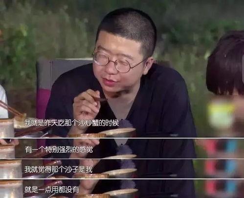 汪涵吃大瓜抖音视频在线观看,吃大瓜背后的故事与趣味