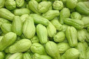 盛夏吃瓜的视频,跟着视频学吃瓜技巧