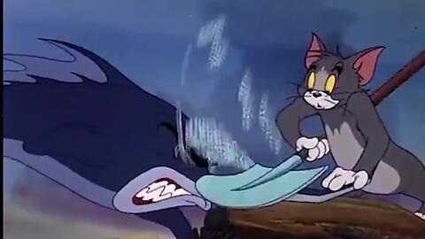 相扑猫吃瓜视频大全,萌态百出！视频大全来袭