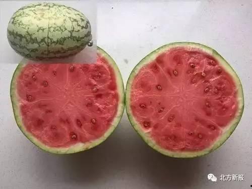 网上视频吃瓜是真是假,真相还是虚构？揭秘网络谣言背后的真相