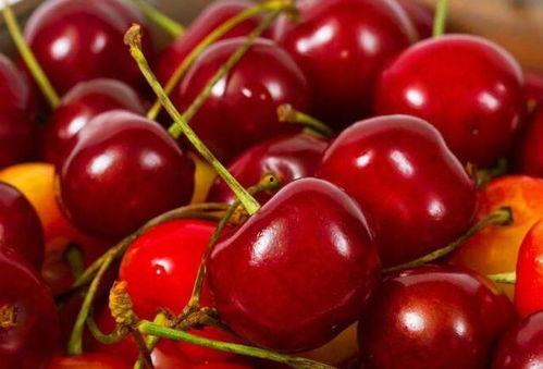 热门吃瓜视频 樱桃,揭秘网络热门吃瓜视频背后的故事