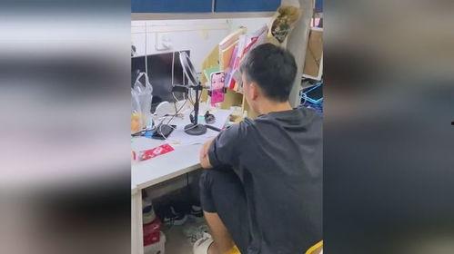 吃瓜人怎么骂别人呢视频,揭秘网络骂战背后的幽默与讽刺