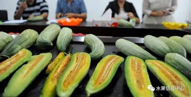 新乐田小姐吃瓜视频,揭秘娱乐圈幕后真相