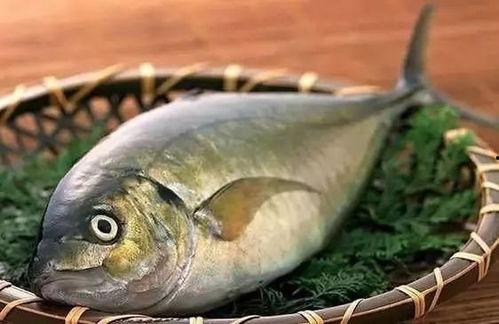 买鱼吃瓜的视频大全播放,热门买鱼吃瓜视频大盘点