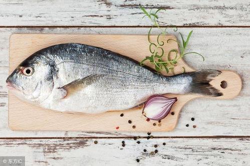 买鱼吃瓜的视频大全播放,热门买鱼吃瓜视频大盘点