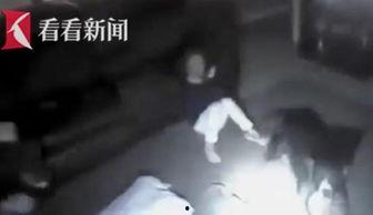 吃瓜被警察误伤视频大全,惊心动魄的瞬间回顾