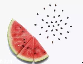 吃瓜吐籽特效怎么做的视频,轻松实现趣味视频