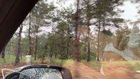 大盆友吃瓜视频在线观看,揭秘娱乐圈幕后故事