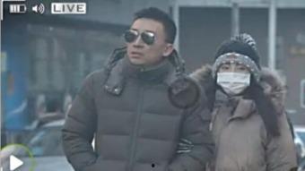 张雨绮吃瓜汪小菲视频,揭秘娱乐圈幕后真相