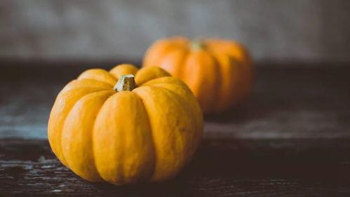 南瓜吃瓜事件图片真实视频